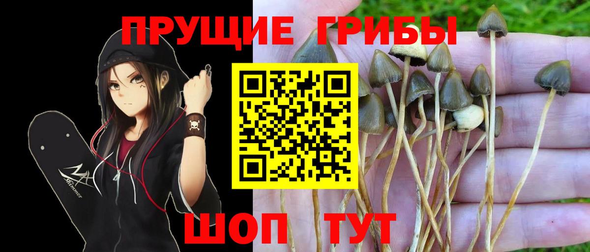 Кумертау  купить закладку  Вход с VPN  Псилоцибиновые грибы Cubensis 